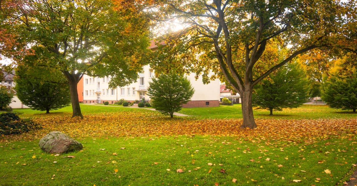 Herbstferien Niedersachsen 2026: Termine, Tipps und Planung