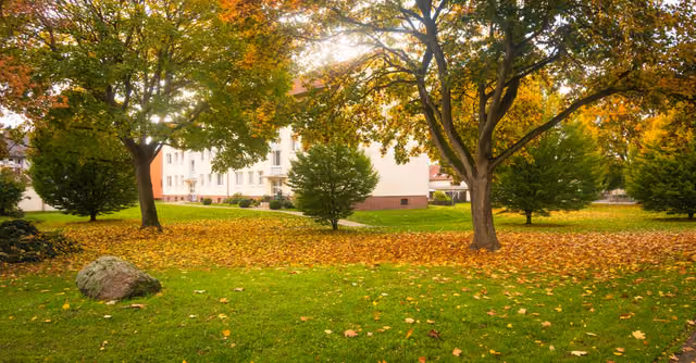 Herbstferien Niedersachsen 2026: Termine, Tipps und Planung