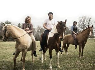 Megafaun